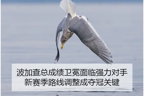 bo-jia-cha-zong-cheng-ji-wei-mian-mian-lin-qiang-li-dui-shou-xin-sai-ji-lu-xian-tiao-zheng-cheng-duo-guan-guan-jian-2-455.jpg